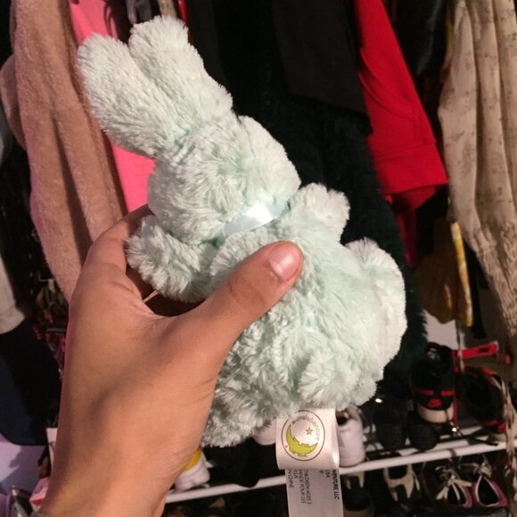 Light Blue Bunny - Picture 5 of 11